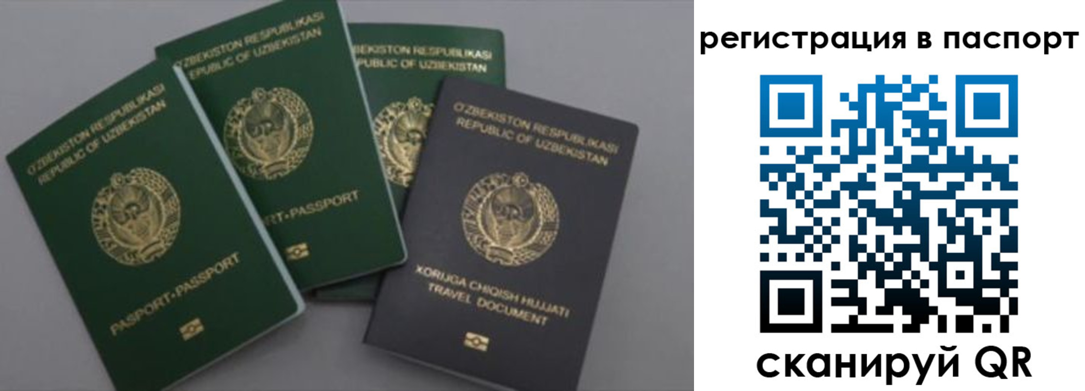 прописка от собственника в Алтае